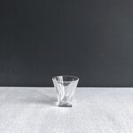 Fusion shot glass