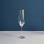 Champagne Glass Gala [RENTAL]