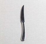 Premium steak knife