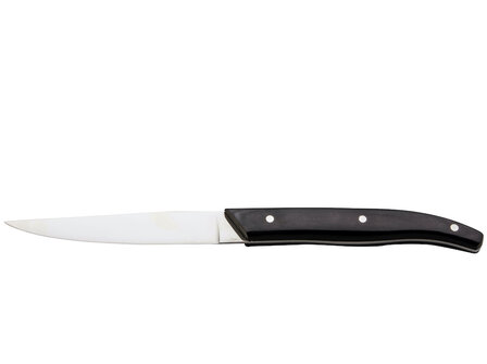Knoxville steak knife
