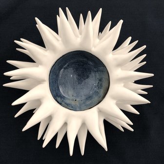 Sea urchin 18 cm