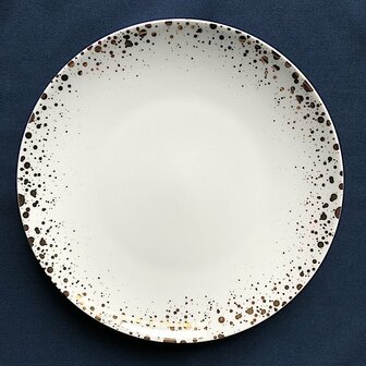 Cosmic dinner plate [RENTAL]