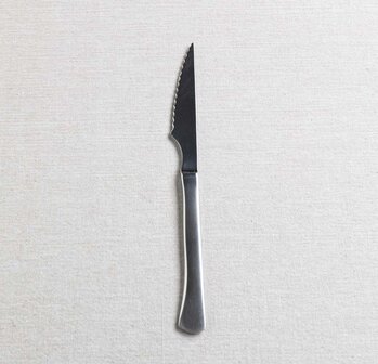 Basic Steak Knife