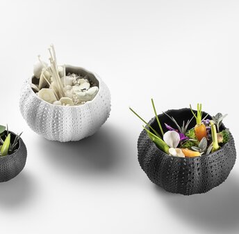 Sea urchin bowl 6cm