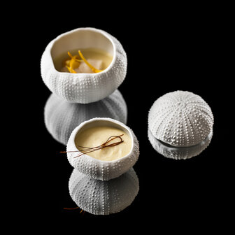 Sea urchin bowl 6cm