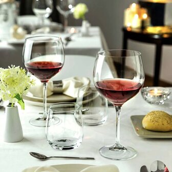 Waterglas Invino [VERHUUR]