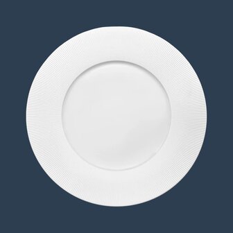 Rayon plate 24 cm