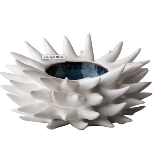 Sea urchin 18 cm