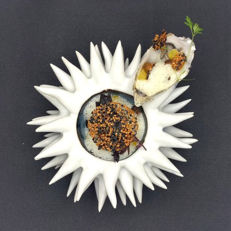 Sea urchin 18 cm