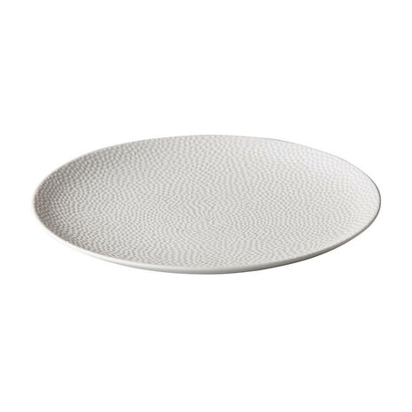 Polar plate 21 cm