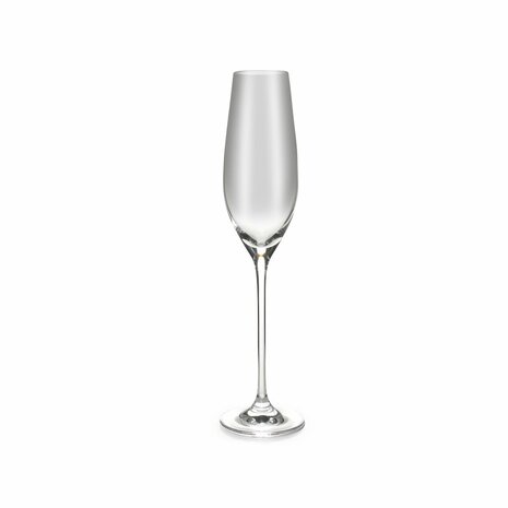 Cuvée champagne glass 21 cl