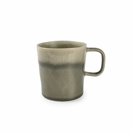 Copa Grey/Green mug