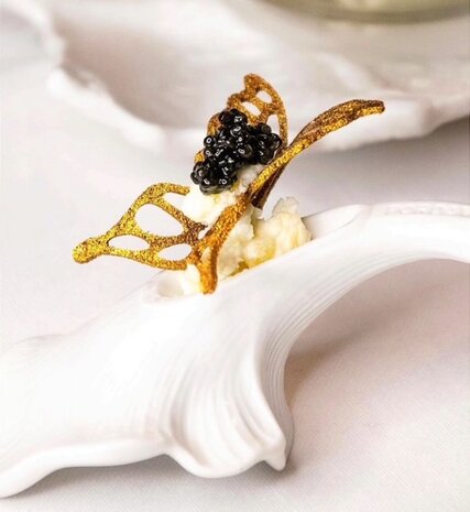 Amuselepel Fungi