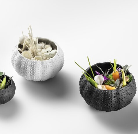 Sea urchin bowl 6cm