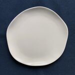 Gastro plate 24 cm