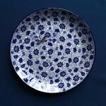 Bord Dragonfly 25,5 cm 