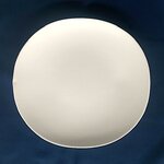 Shell plate 27,5 cm matte